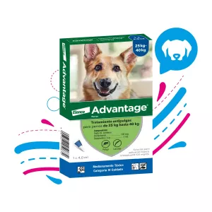 ADVANTAGE 4.0 ML 25- 40 KILOS