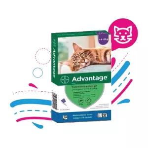 ADVANTAGE ANTIPULGAS PARA GATOS ( DE 4 Kg - 8 kg)  PIPETA X 0.8 ML.