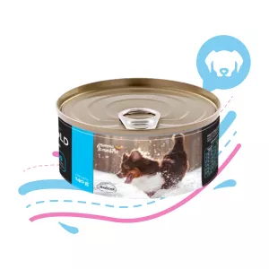 AGILITY GOLD LATA ENTERICO X 140 GR