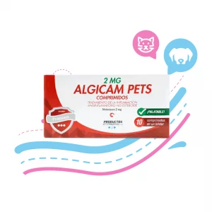 ALGICAM 2 MG x10 PASTILLAS