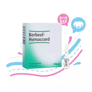 AMPOLLA DE BERBEEL HOMACCORD