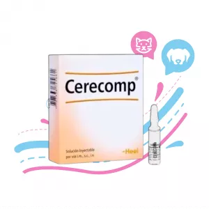 AMPOLLA DE CERECOMP