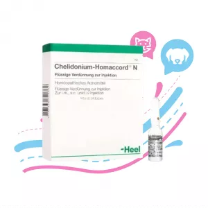 AMPOLLA DE CHELIDONIUM