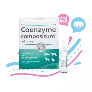 AMPOLLA DE COENZYME VET
