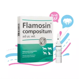 AMPOLLA DE FLAMOSIN (MUCOSA) VET