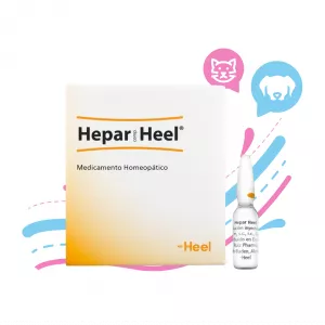 AMPOLLA DE HEPAR
