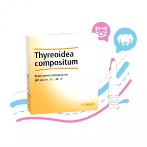 AMPOLLA DE THYREOIDEA COMPOSITUM