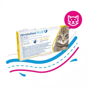 ANTIPARASITARIO REVOLUTION PLUS GATOS 0,25ML TBX1 (1,25 KG A  2,5 KG)