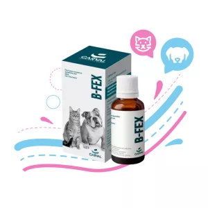 B-FEX FRASCO X 60ML 136083
