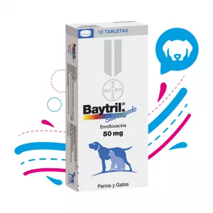 BAYTRIL 50 MG CAJA X10 PASTILLAS