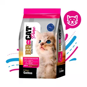BR FOR CAT PURE GATITO POLLO X 1 KG