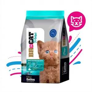 BR FOR CAT PURE GATITO SALMON X 1 KG.