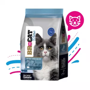 BR FOR CAT PURE GATO CASTRADO SALMON X 1 KG