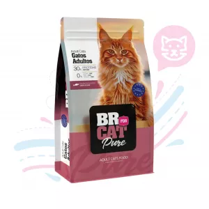 BR FOR CAT PURE GATO SALMÓN X 1 KG