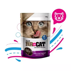 BR SNACKS CAT SOFTY SKIN & COAT SUPPORT X 100 GR