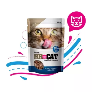 BR SNACKS CAT SOFTY URINARY SUPPORT X 100 GR