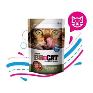 BR SNAKCS CAT SOFTY WEIGHT SUPPORT X 100 GR - Animal Center