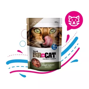 BR SNAKCS CAT SOFTY WEIGHT SUPPORT X 100 GR