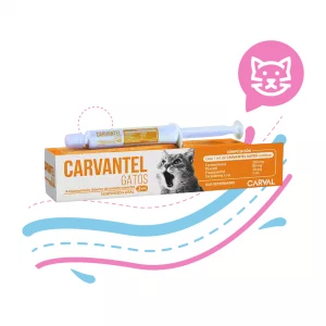 CARVANTEL GATOS JERINGA X2ML 132453