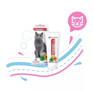 CINAMET-LES CREMA DENTAL X 60 ML