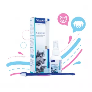 CLORDENT SPRAY X 120 ML