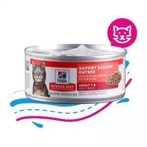 COMIDA HÚMEDA PARA GATO HILLS SALMON 5,5 ONZ