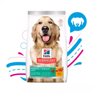 COMIDA PARA PERRO HILLS ADULT PERFECT WEIGHT DOG
