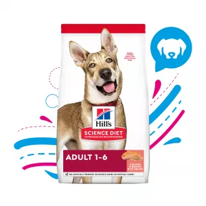 COMIDA PARA PERRO HILLS ADULTO RAZAS MEDIANAS SALMON Y ARROZ X 4. 5 LB 608503