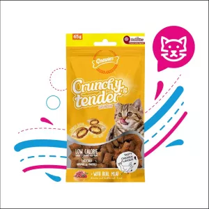 CRUNCHY & TENDER TASTY CHICKEN X65GR (12053)