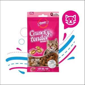 CRUNCHY & TENDER TASTY SALMON X65GR (12046)