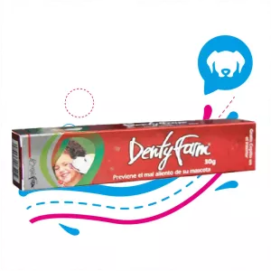 DENTYFARM CREMA DENTAL 80 GR.+ CEPILLO