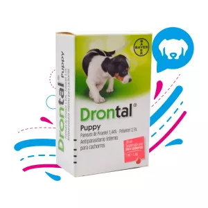 DRONTAL CACHORROS X 20 ML