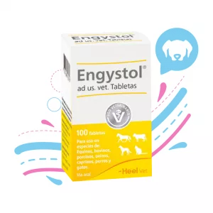 ENGYSTOL X 100 TB