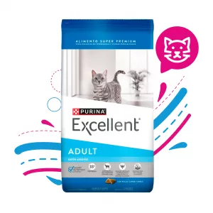 EXCELLENT GATO ADULTO