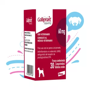 GALLIPRANT 60 MG X 1 TABLETA