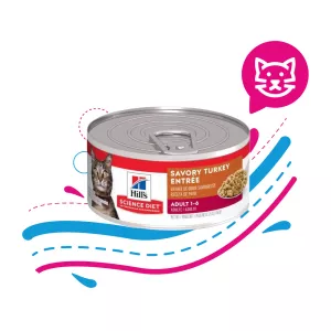 HILLS CAT LATA TURKEY X 5.5 OZ.