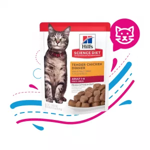 HILLS POUCHE ADULTO TENDER CHICKEN X 79 GRS