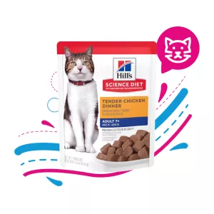 HILLS POUCHE MATURE CHICKENTENDER CHICKEN X 79 GRS