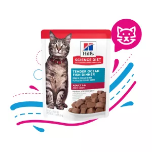 HILLS POUCHE OCEAN FISH TENDER CHICKEN X 79 GRS