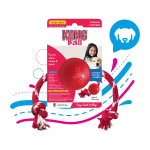 KONG PERRO CAUCHO CLASSIC PELOTA CON LAZO S KB21KO