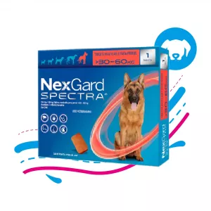 NEXGARD SPECTRA 30 A 60 KG XL x1 PASTILLA
