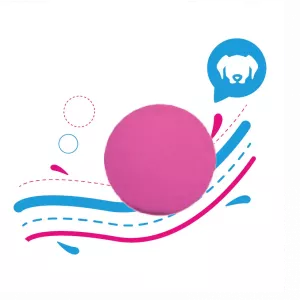 PELOTA MACIZA GIGANTE