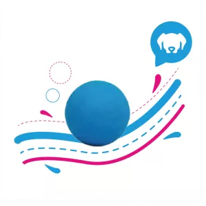 PELOTA MACIZA MEDIANA