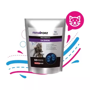 RENALFORZ X 60 TABLETAS