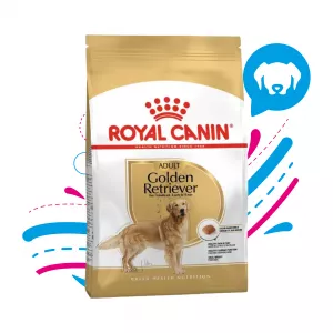 ROYAL CANIN ADULTO GOLDEN RETRIEVER 12 KG