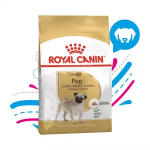 ROYAL CANIN ADULTO PUG 3 KG