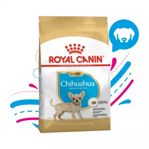 ROYAL CANIN CHIHUAHUA PUPPY 1.13 KG