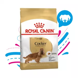 ROYAL CANIN COCKER ADULTO 3KG