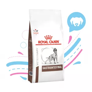 ROYAL CANIN GASTROINTESTINAL X 2 KL
