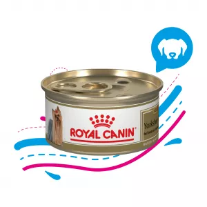 ROYAL CANIN LATA ADULTO YORKSHIRE TERRIER X 856 GR